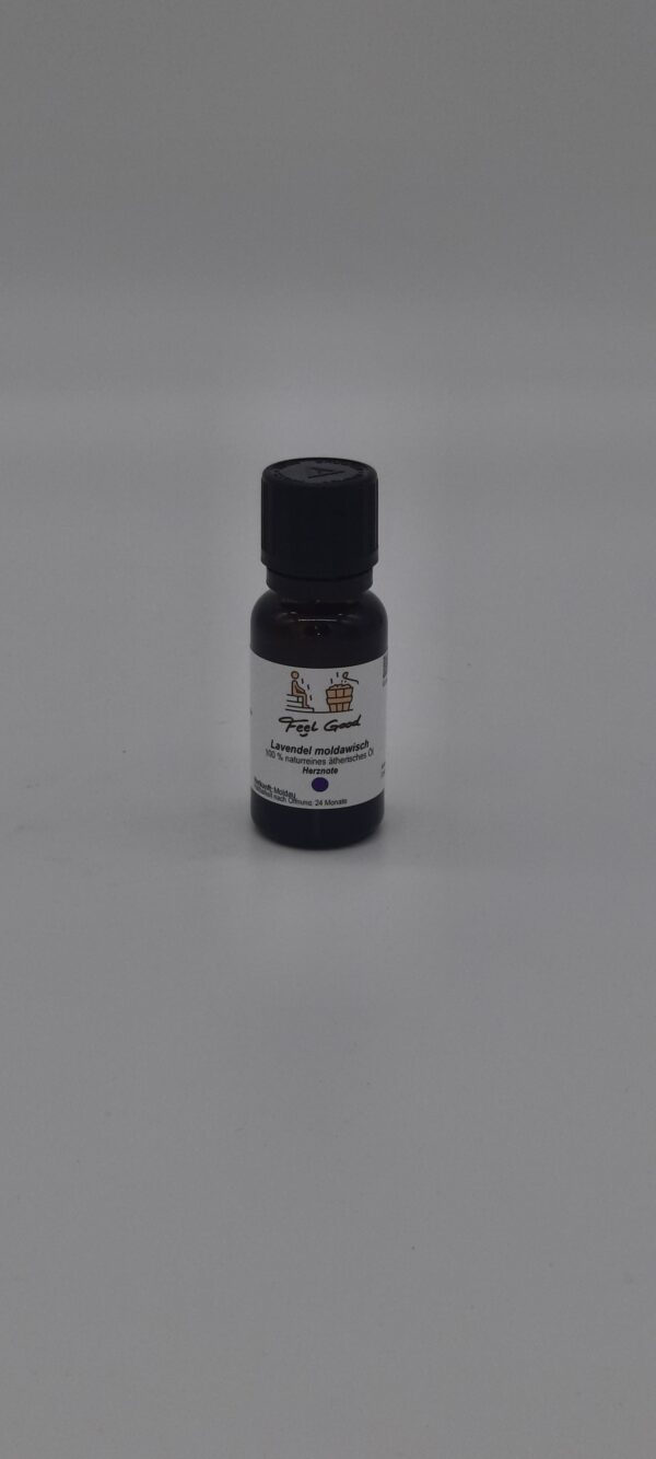 Lavendel fein moldawisch