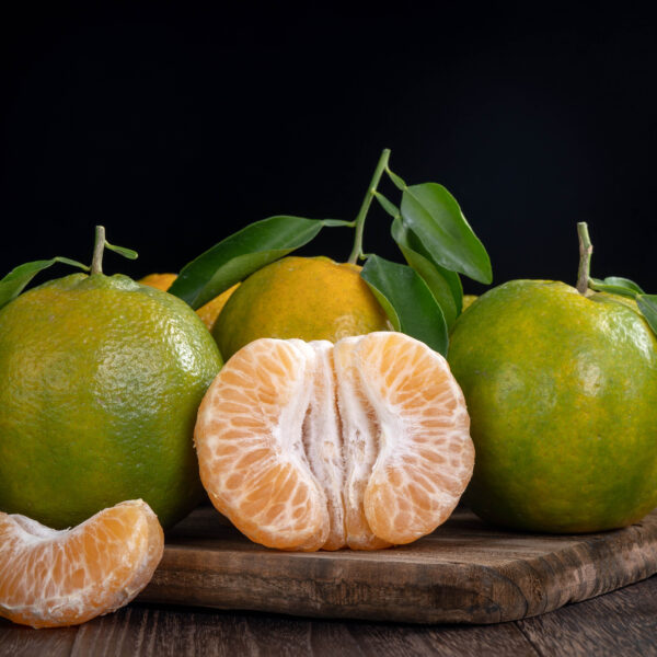 Mandarine grün italienisch Ätherisches Öl – Bild 2